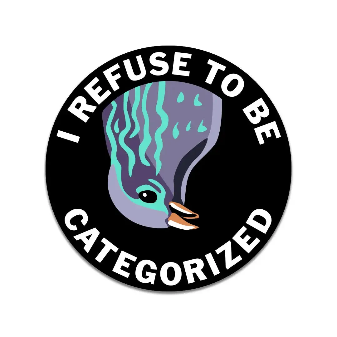Troubled Birds: Vinyl Stickers {multiple styles}