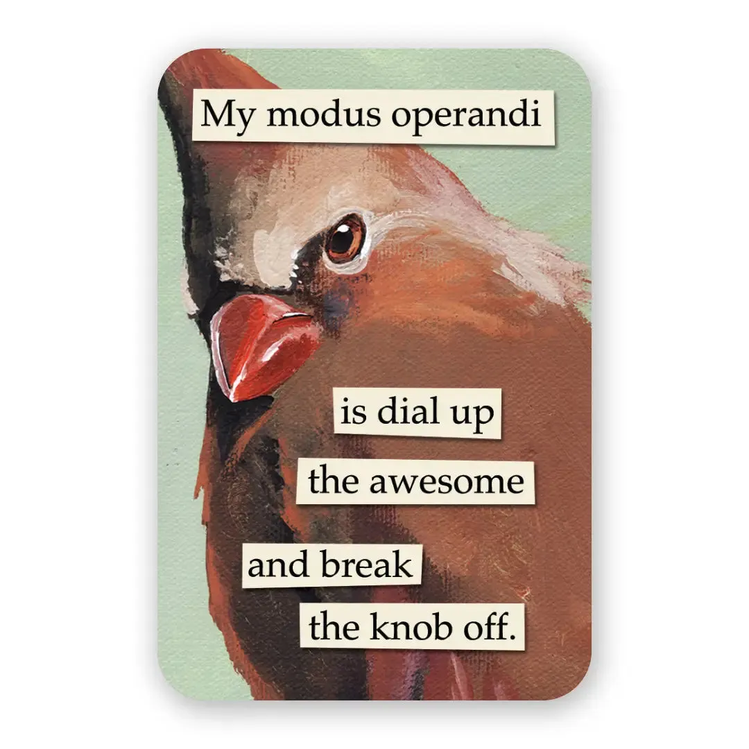 Troubled Birds: Vinyl Stickers {multiple styles}